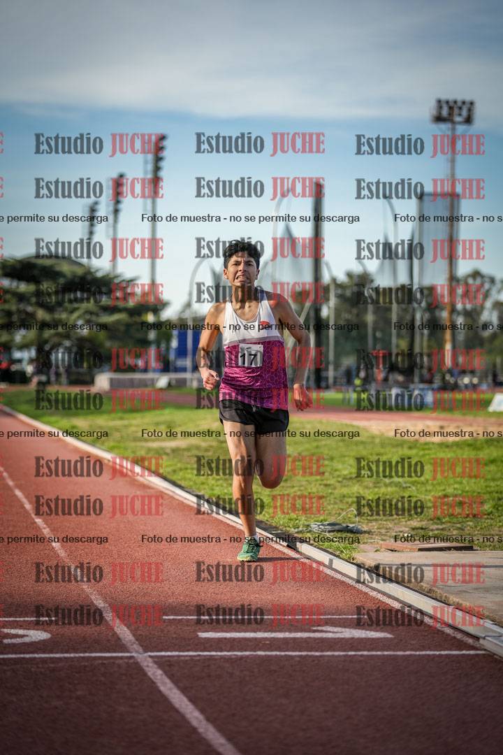 Fotos de los 3000 m llanos de varones