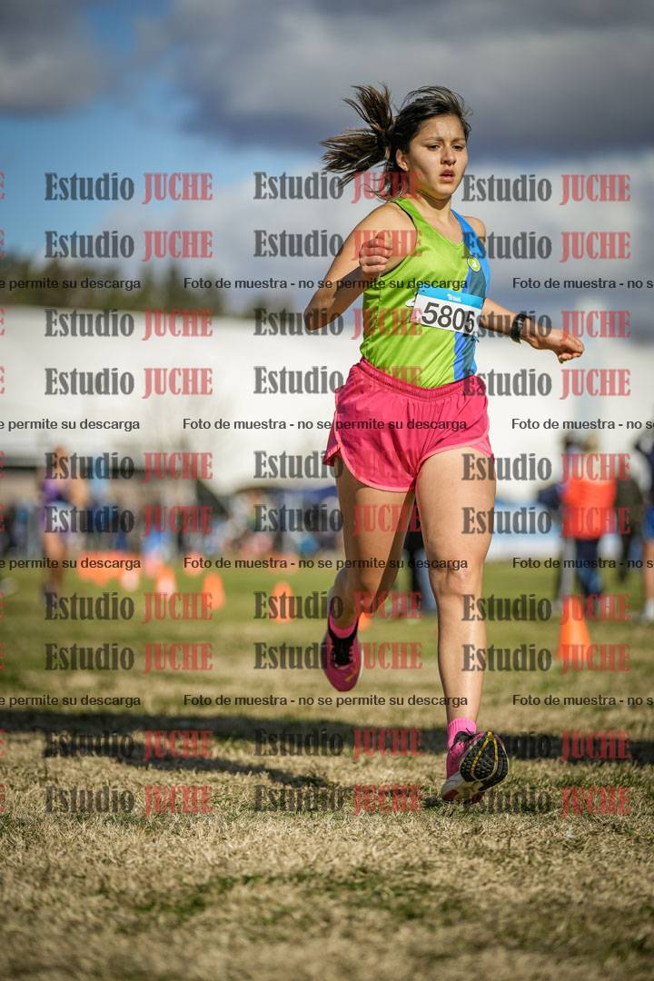 Fotos de las llegadas