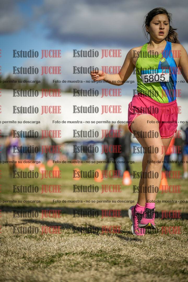 Fotos de las llegadas