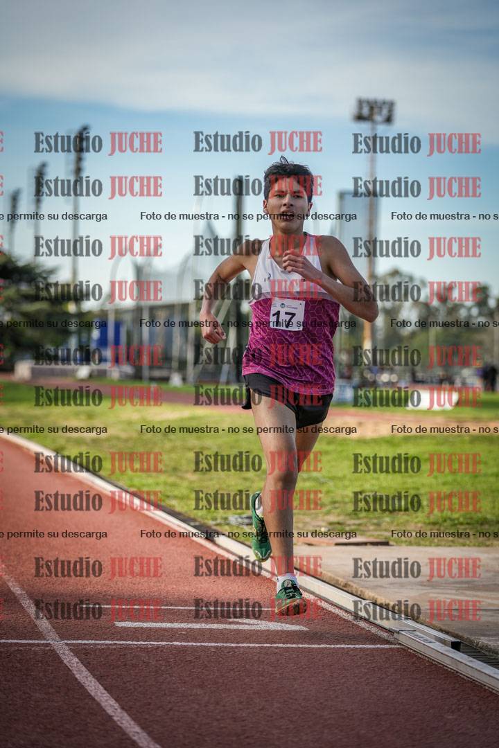 Fotos de los 3000 m llanos de varones