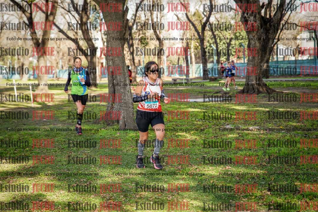 Fotos en el circuito