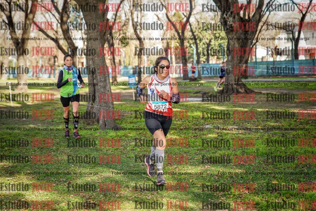 Fotos en el circuito