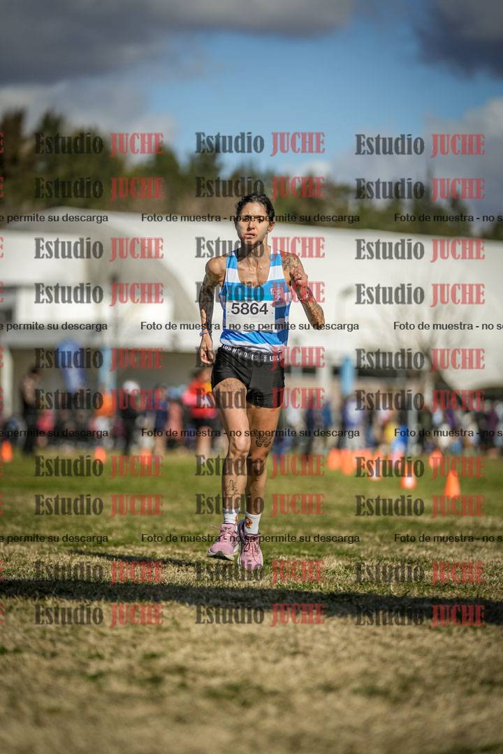 Fotos de las llegadas