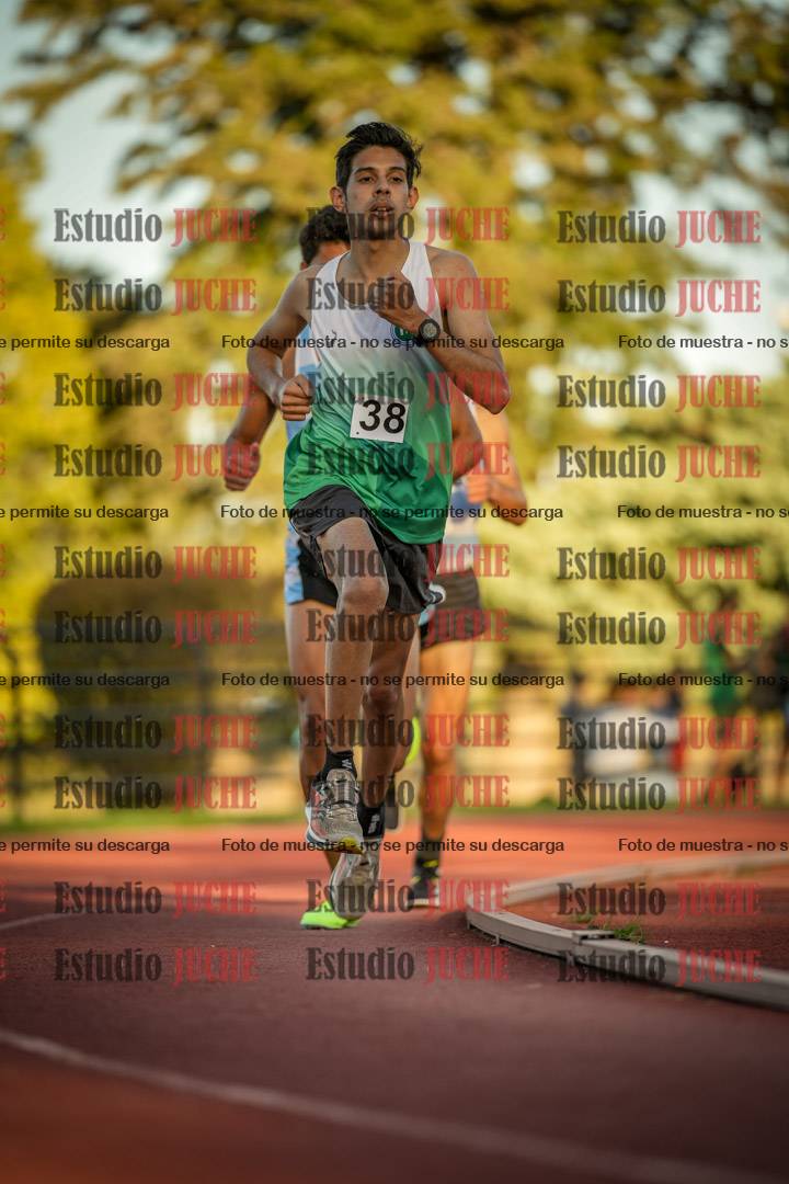Fotos de los 3000 m llanos de varones