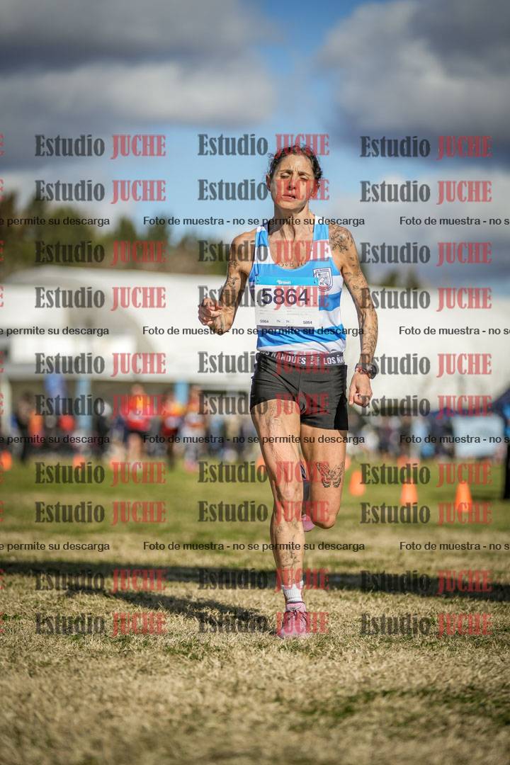 Fotos de las llegadas