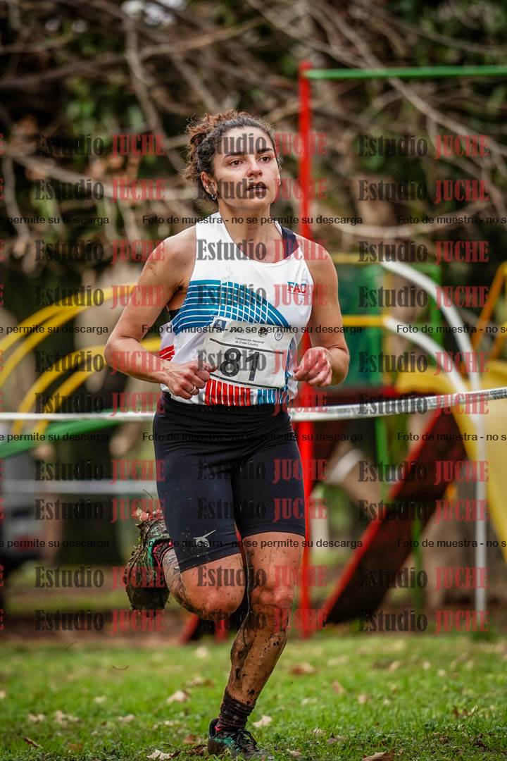 Fotos en el circuito