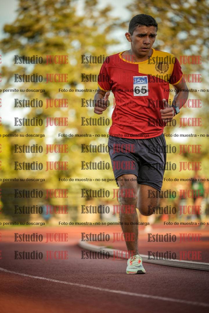 Fotos de los 3000 m llanos de varones