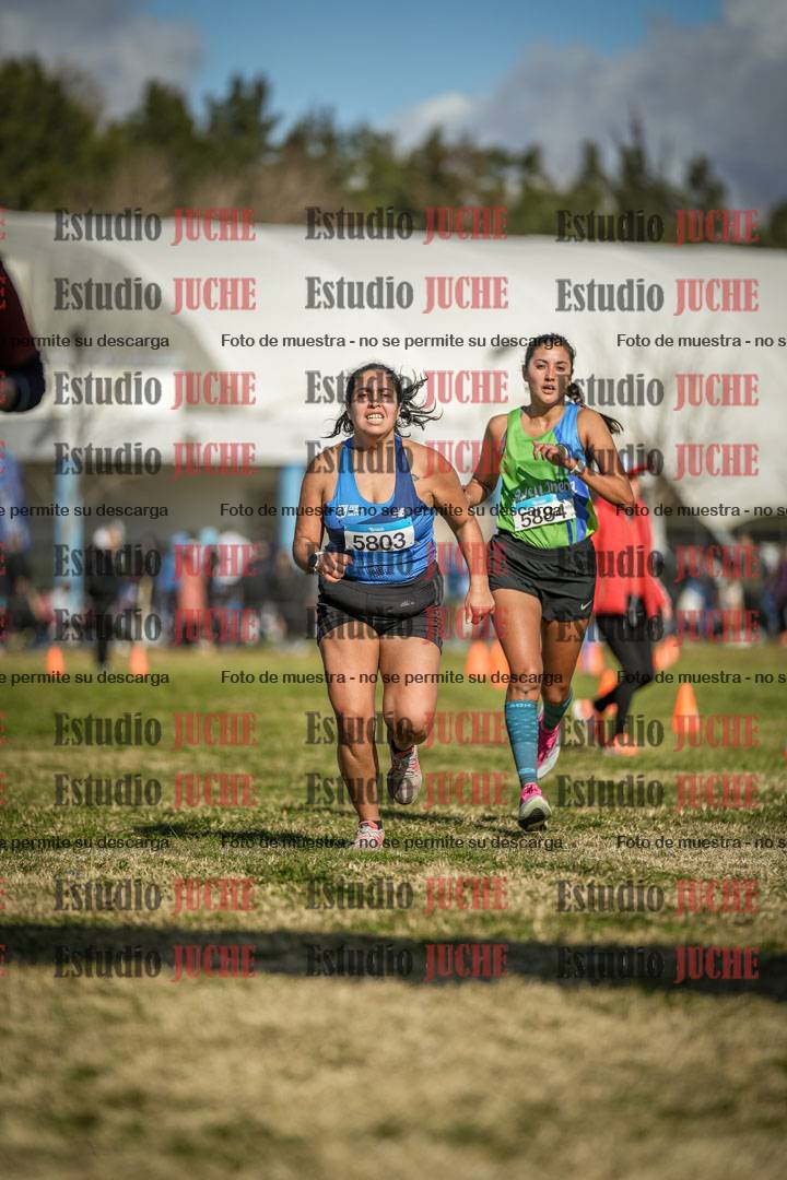 Fotos de las llegadas