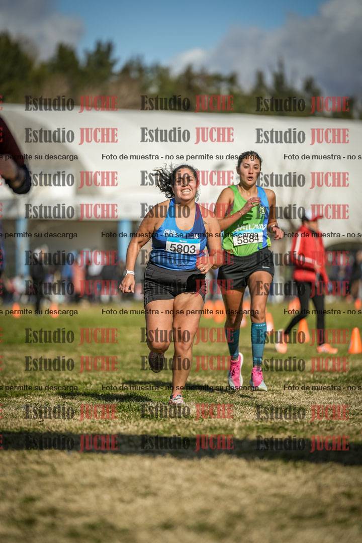 Fotos de las llegadas