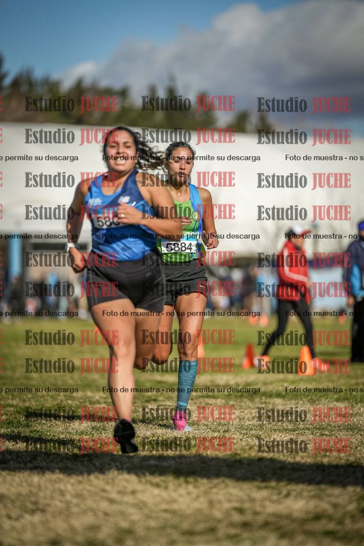 Fotos de las llegadas