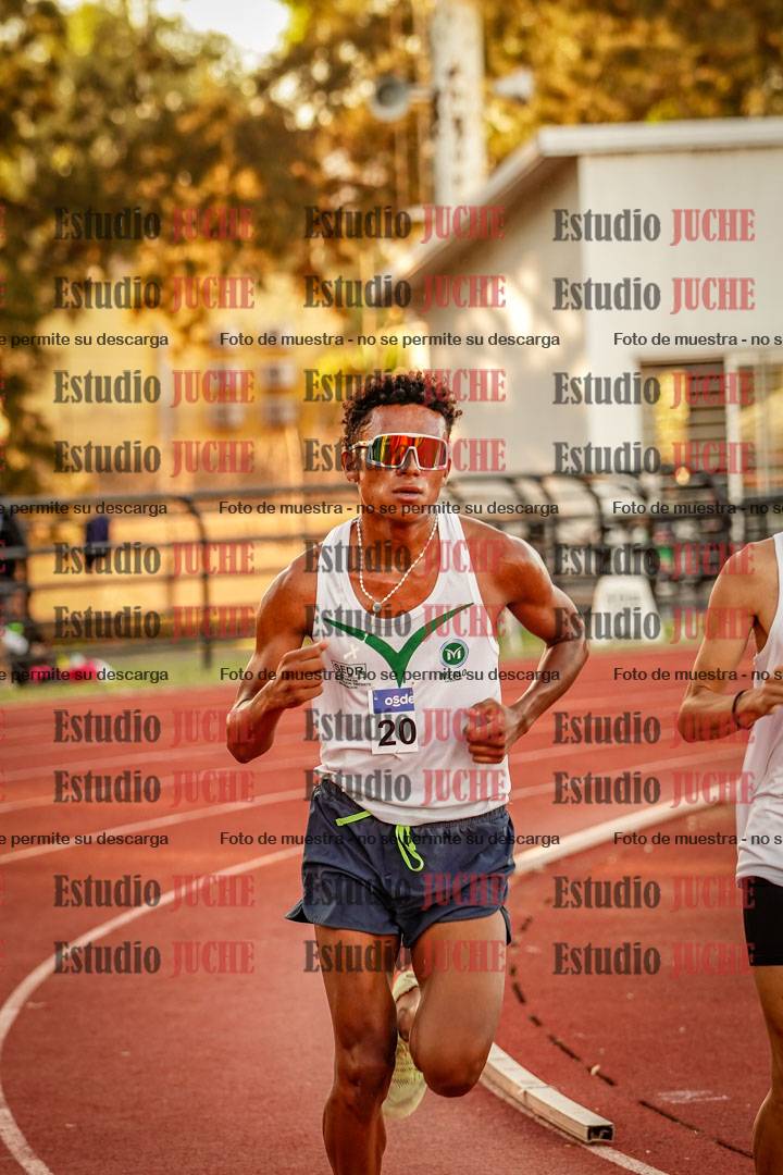Fotos de los 3000 m llanos de varones