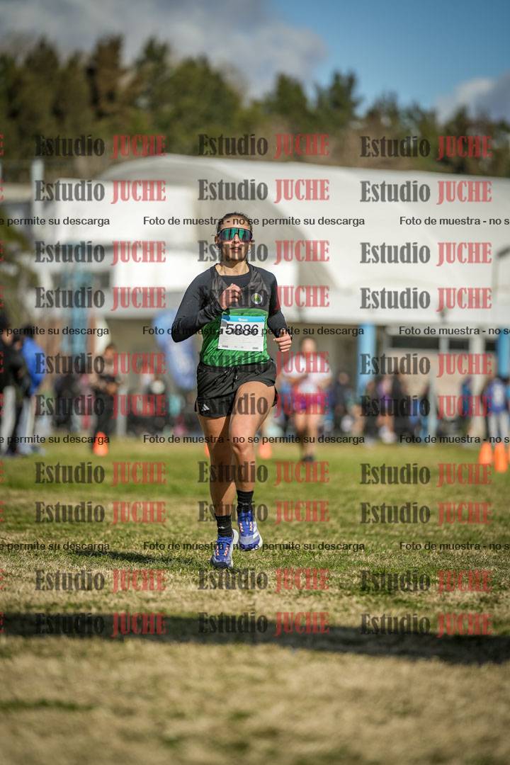 Fotos de las llegadas