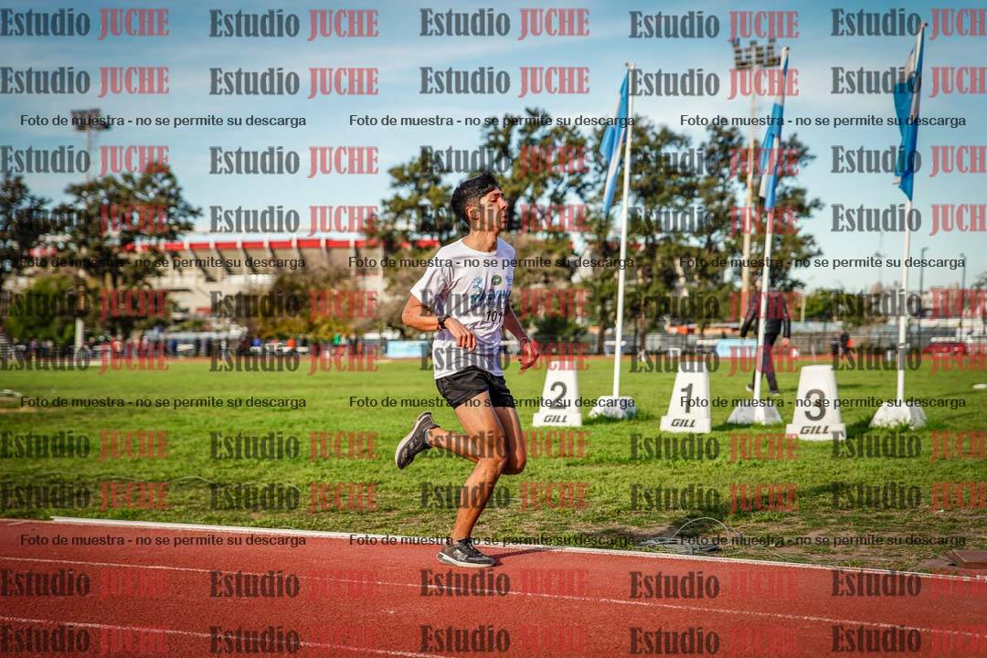 Fotos de los 3000 m llanos de varones