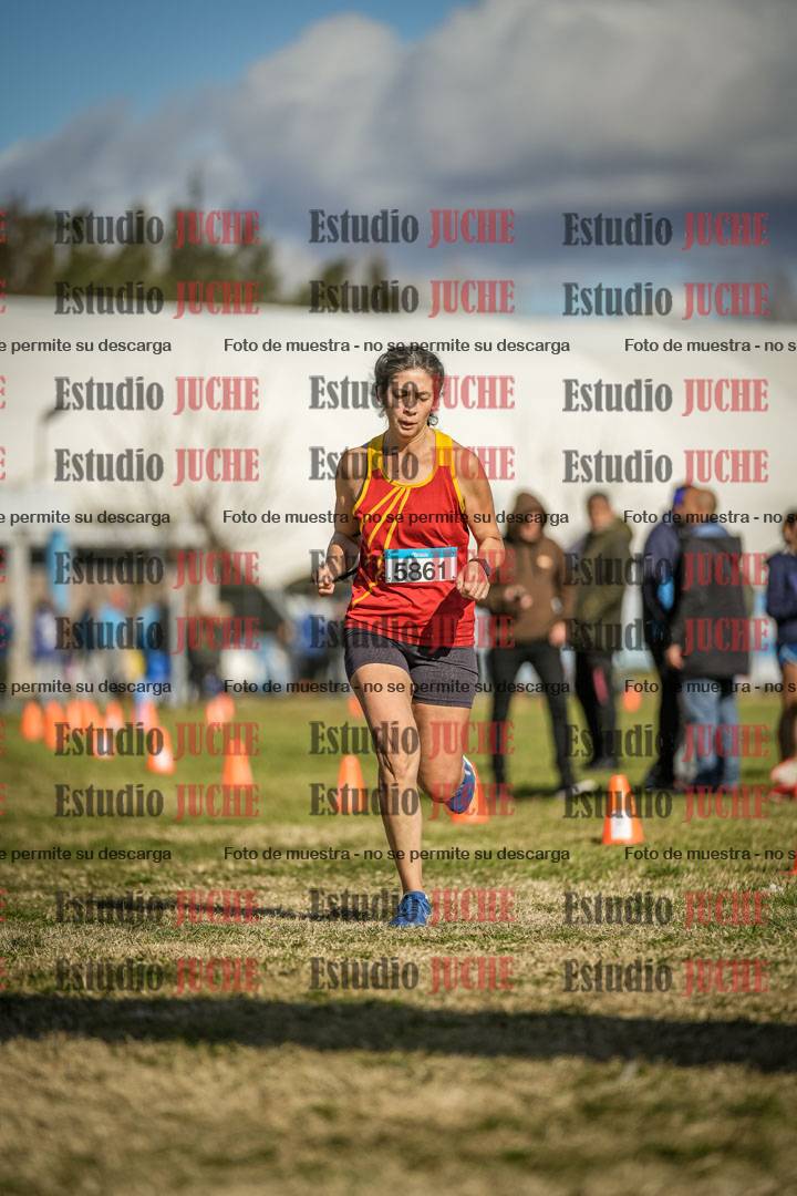 Fotos de las llegadas