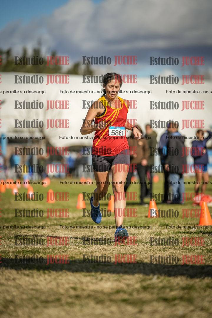 Fotos de las llegadas