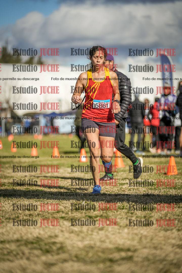 Fotos de las llegadas