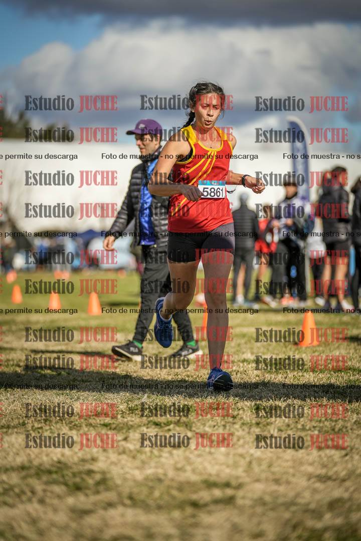 Fotos de las llegadas