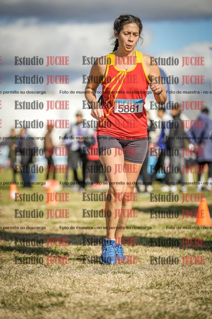 Fotos de las llegadas