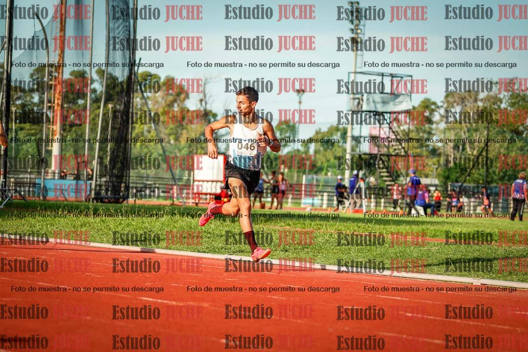 Fotos de los 1500 m llanos de varones