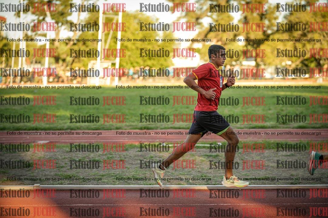 Fotos de los 3000 m llanos de varones