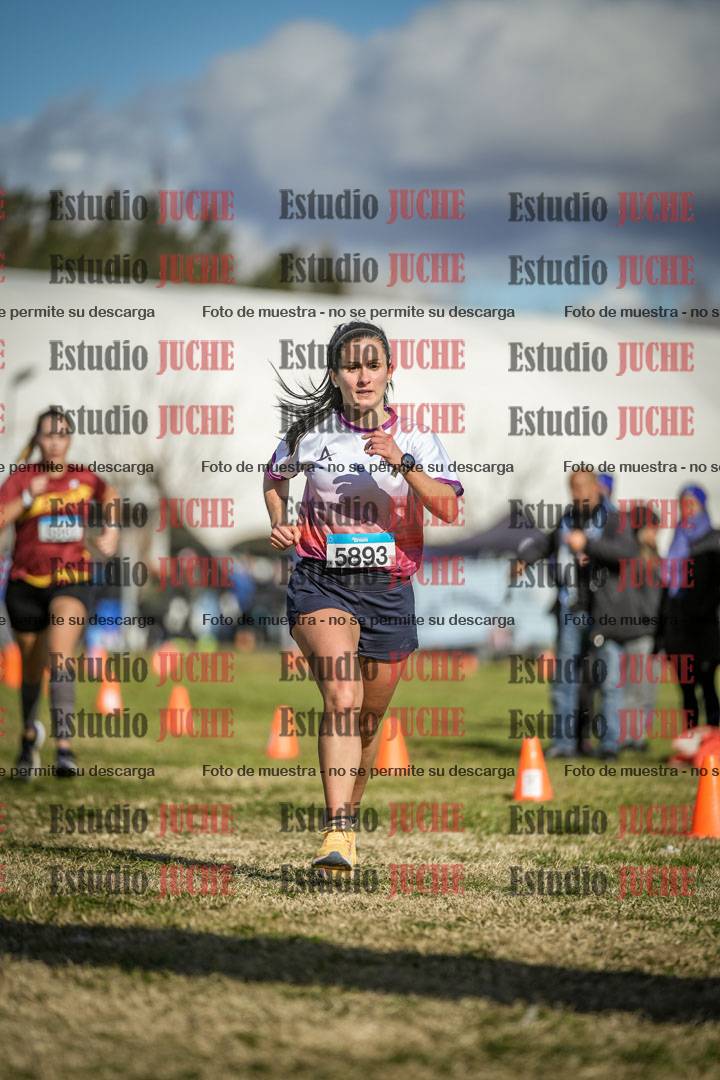 Fotos de las llegadas