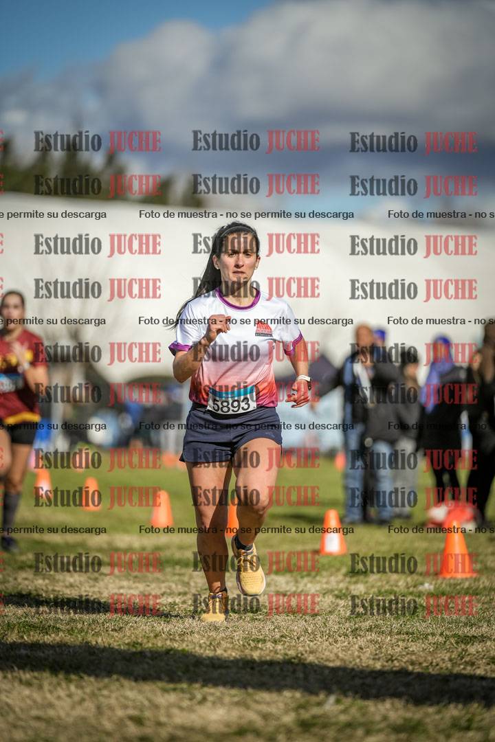 Fotos de las llegadas