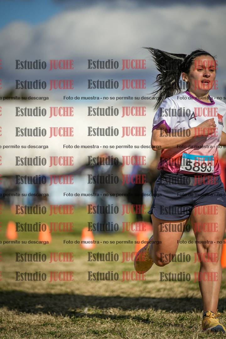 Fotos de las llegadas