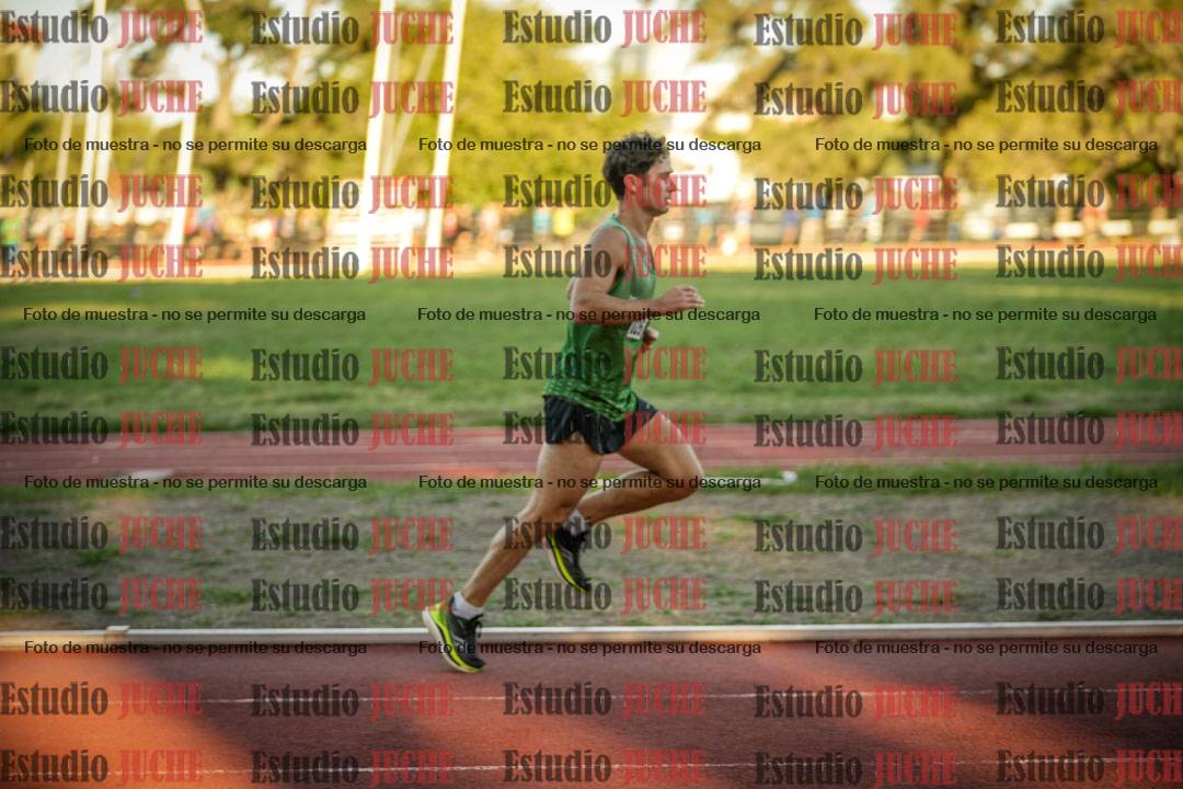 Fotos de los 3000 m llanos de varones