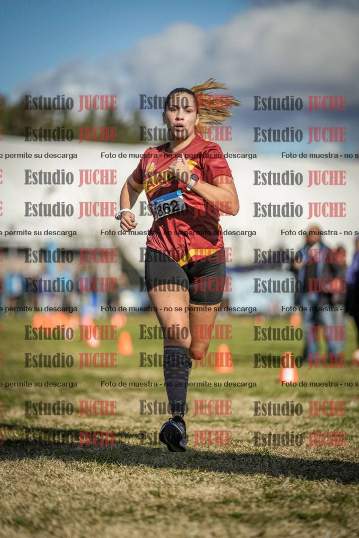 Fotos de las llegadas