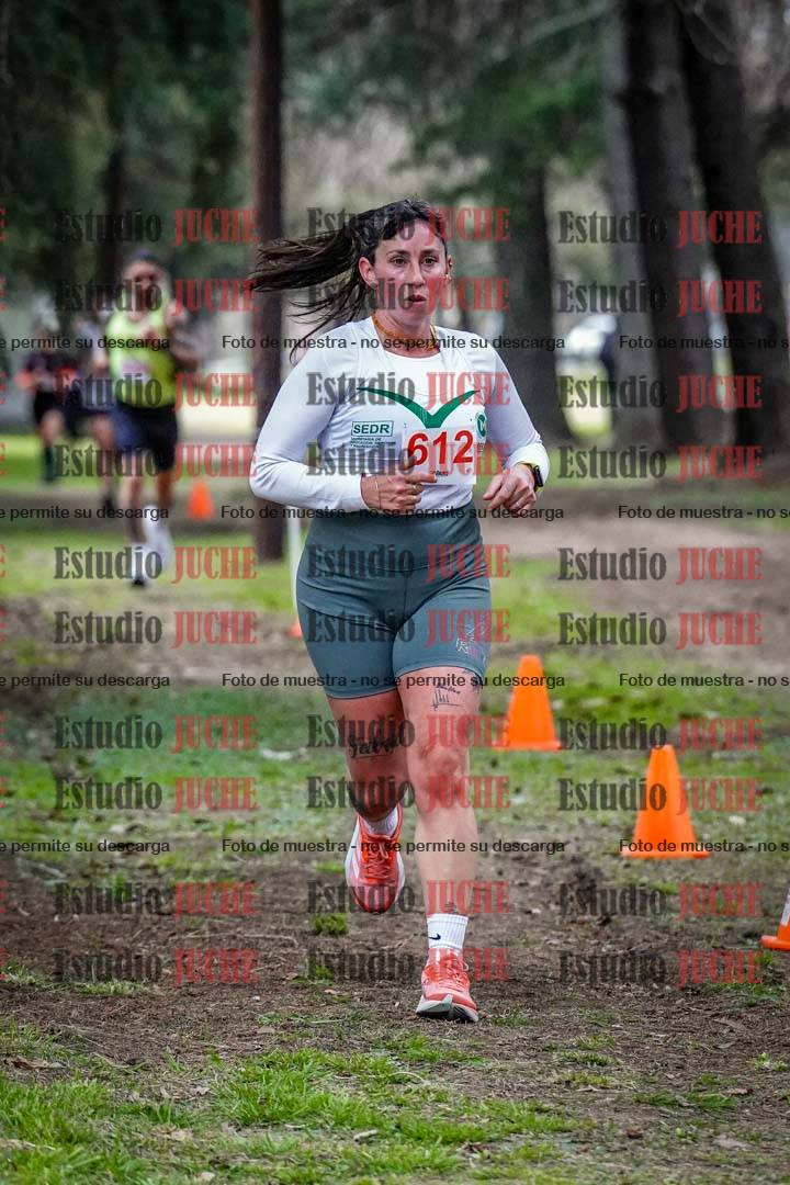 Fotos en el circuito