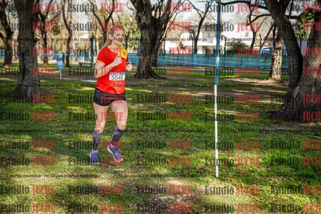 Fotos en el circuito