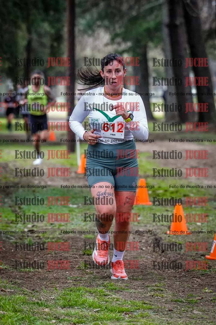 Fotos en el circuito