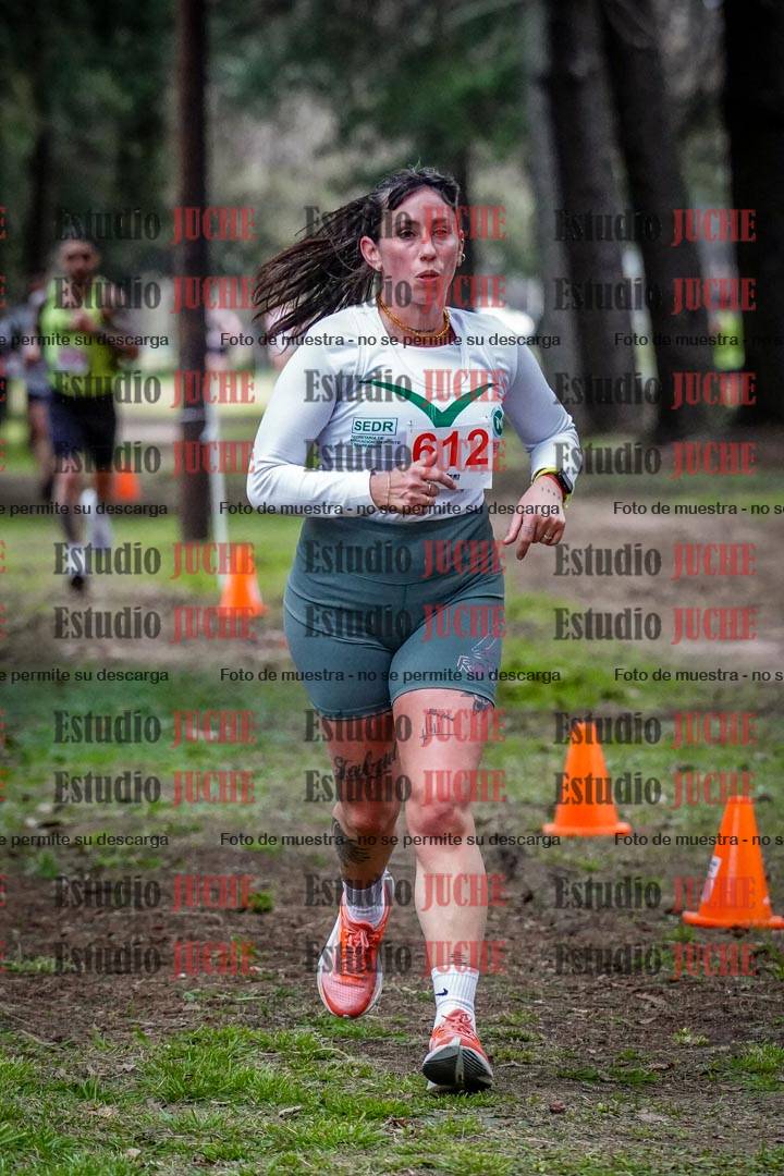 Fotos en el circuito