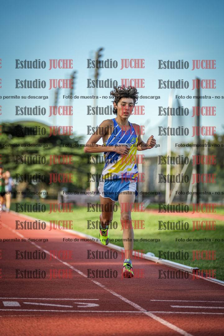 Fotos de los 1500 m llanos de varones