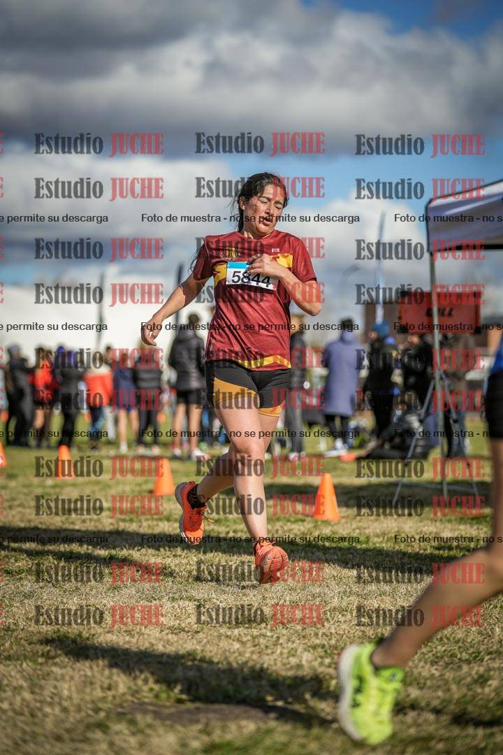 Fotos de las llegadas