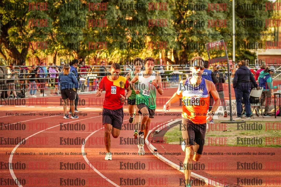 Fotos de los 3000 m llanos de varones