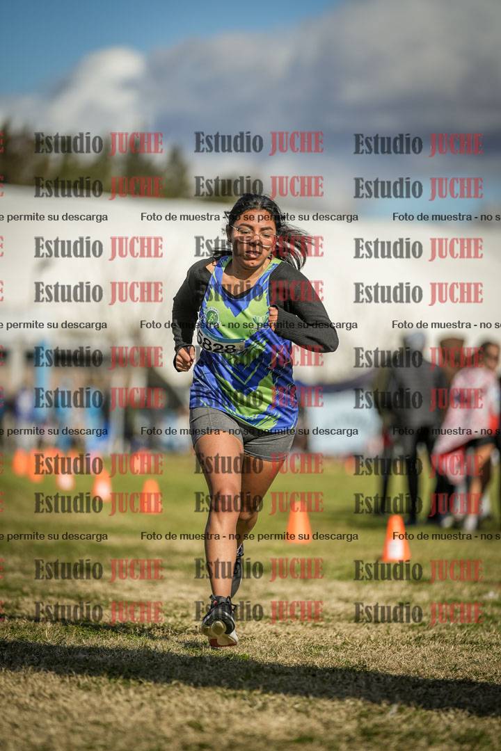 Fotos de las llegadas