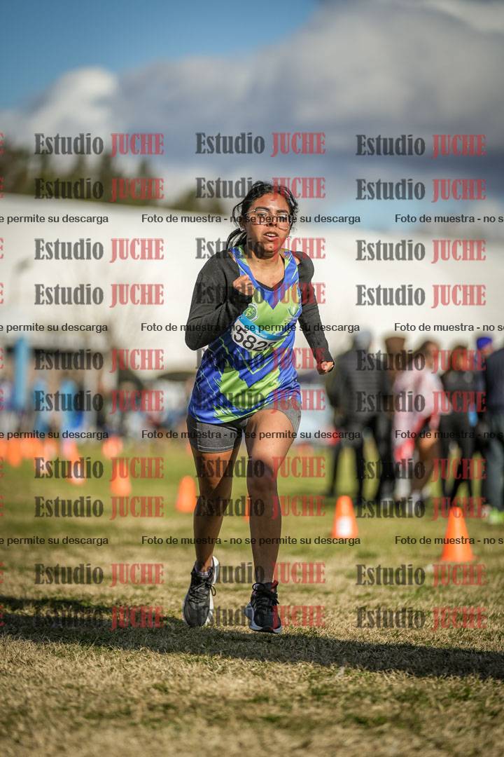 Fotos de las llegadas