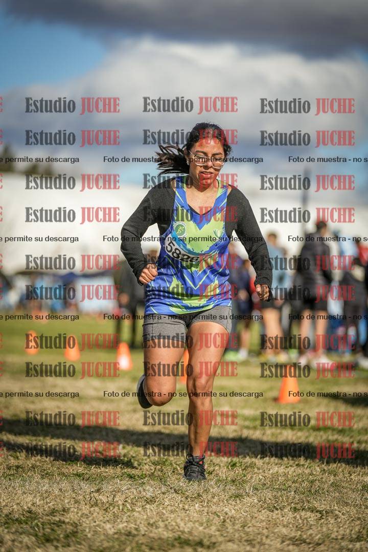 Fotos de las llegadas