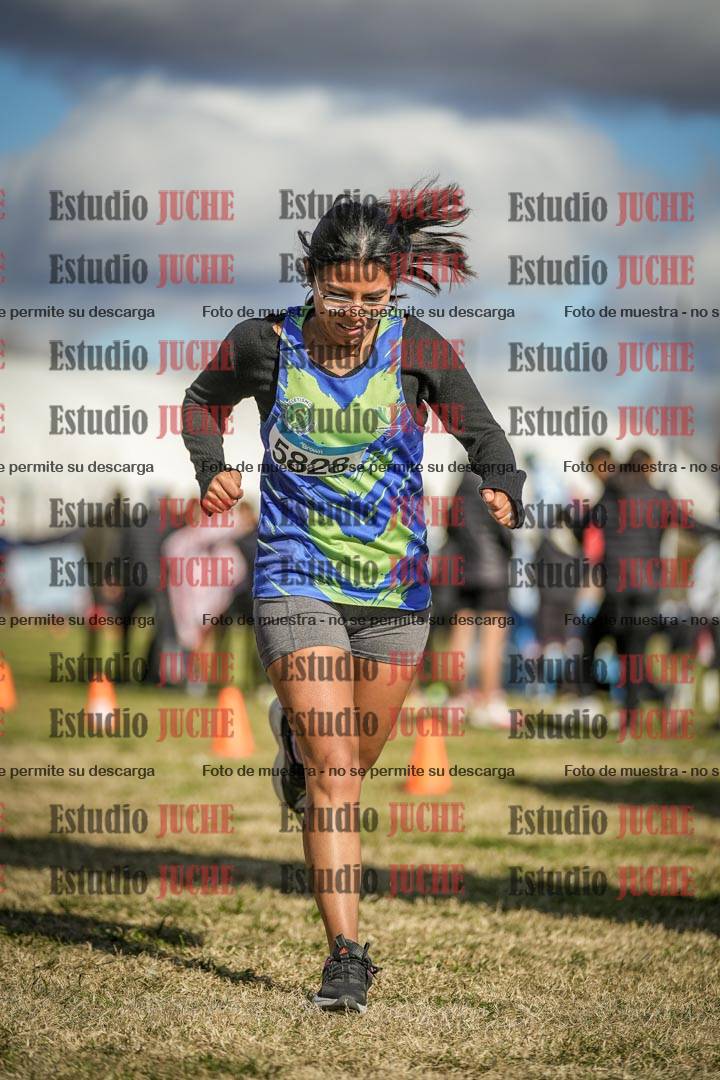 Fotos de las llegadas