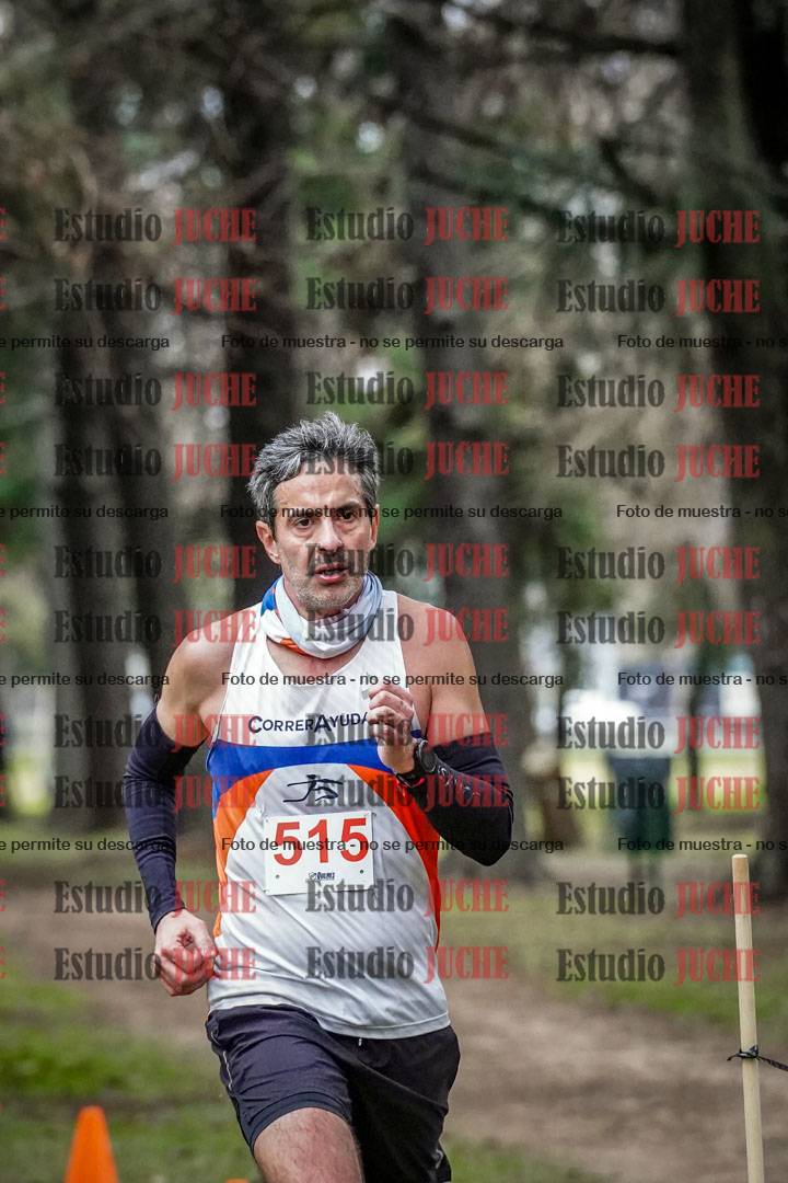 Fotos en el circuito