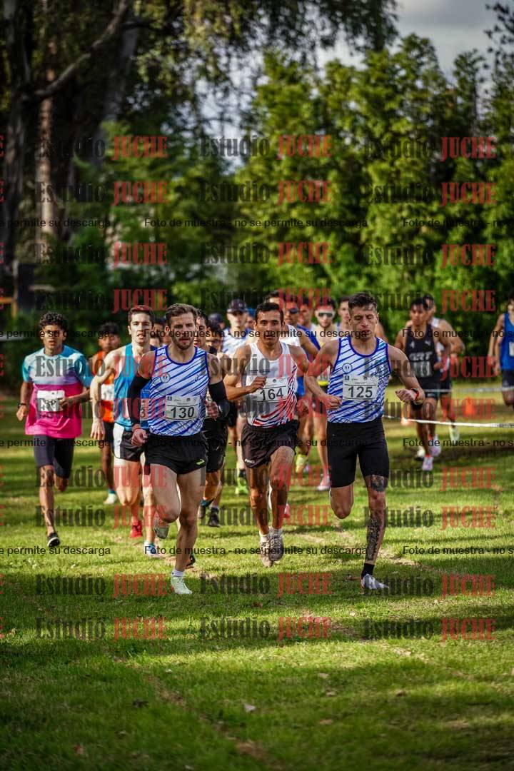 Fotos en el circuito