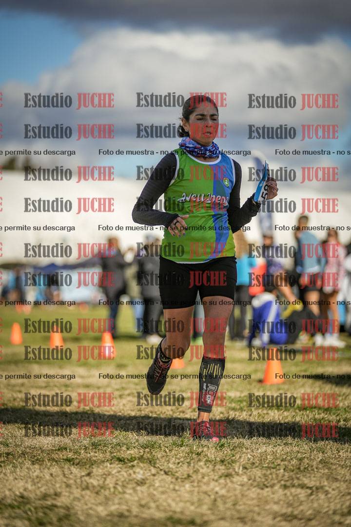 Fotos de las llegadas