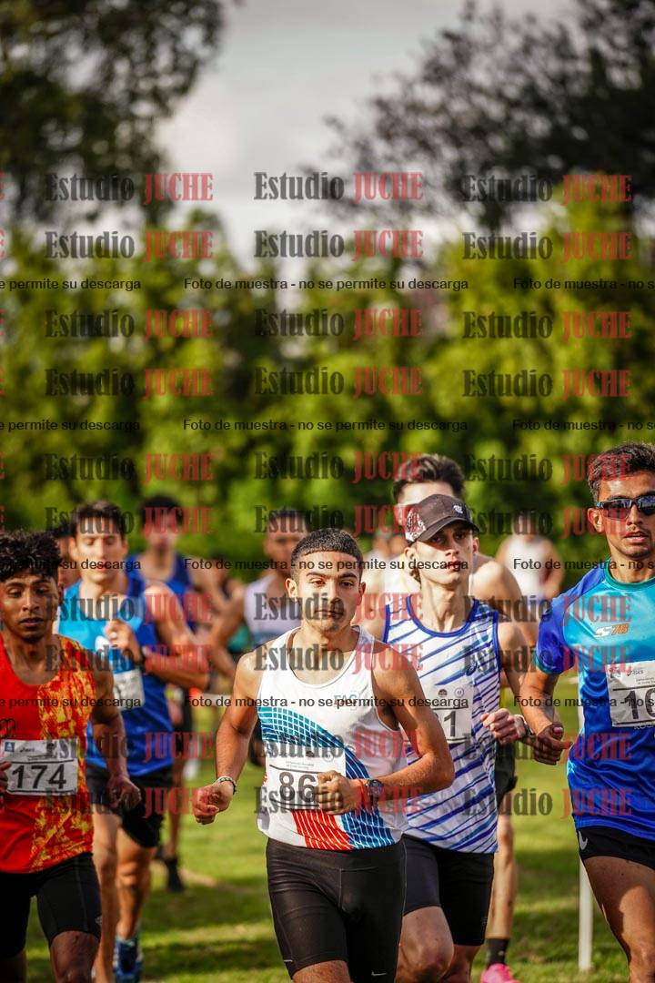 Fotos en el circuito