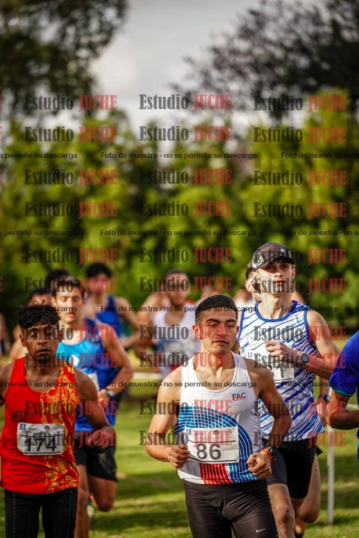Fotos en el circuito