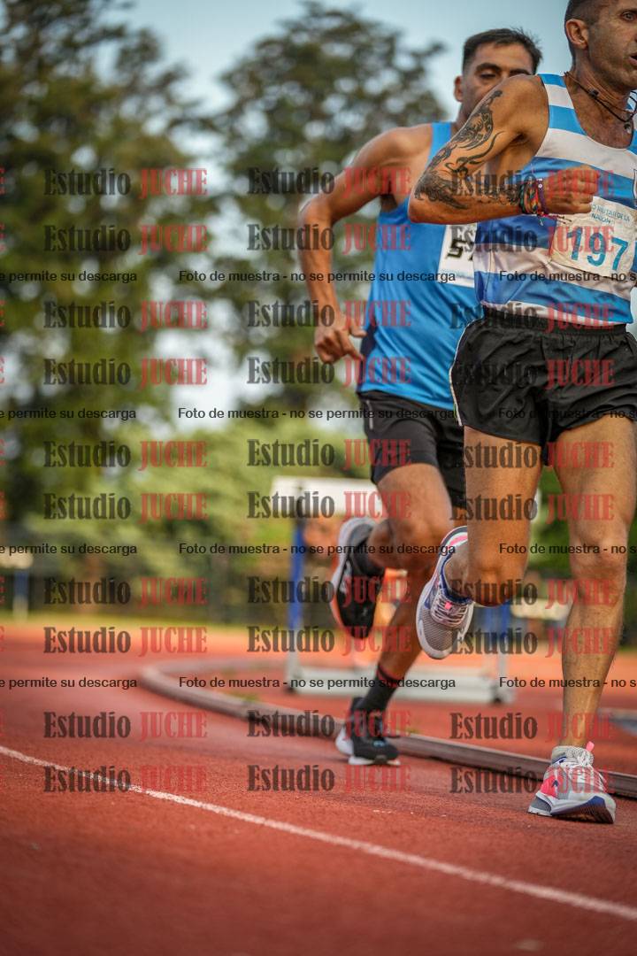 Fotos de los 3000 m llanos de varones