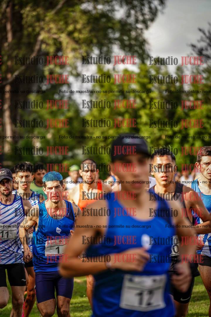 Fotos en el circuito