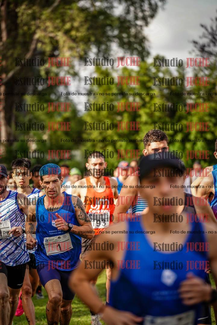 Fotos en el circuito
