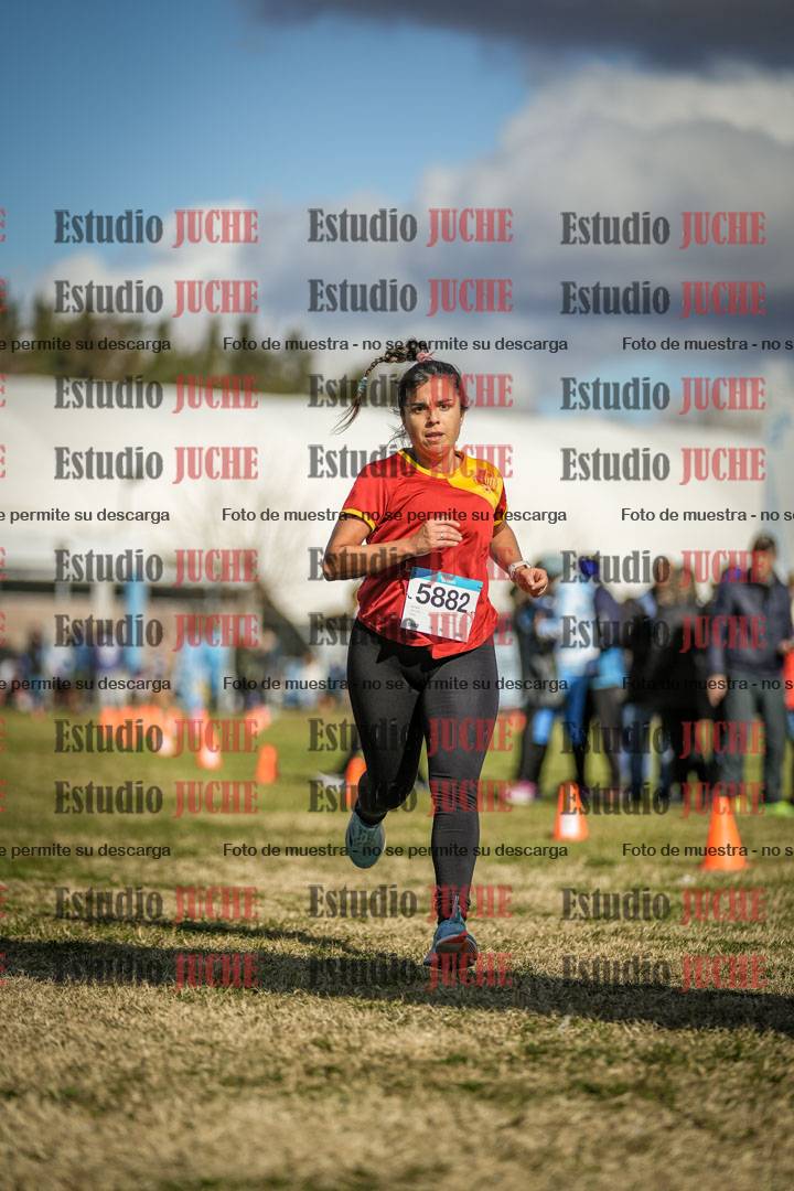 Fotos de las llegadas