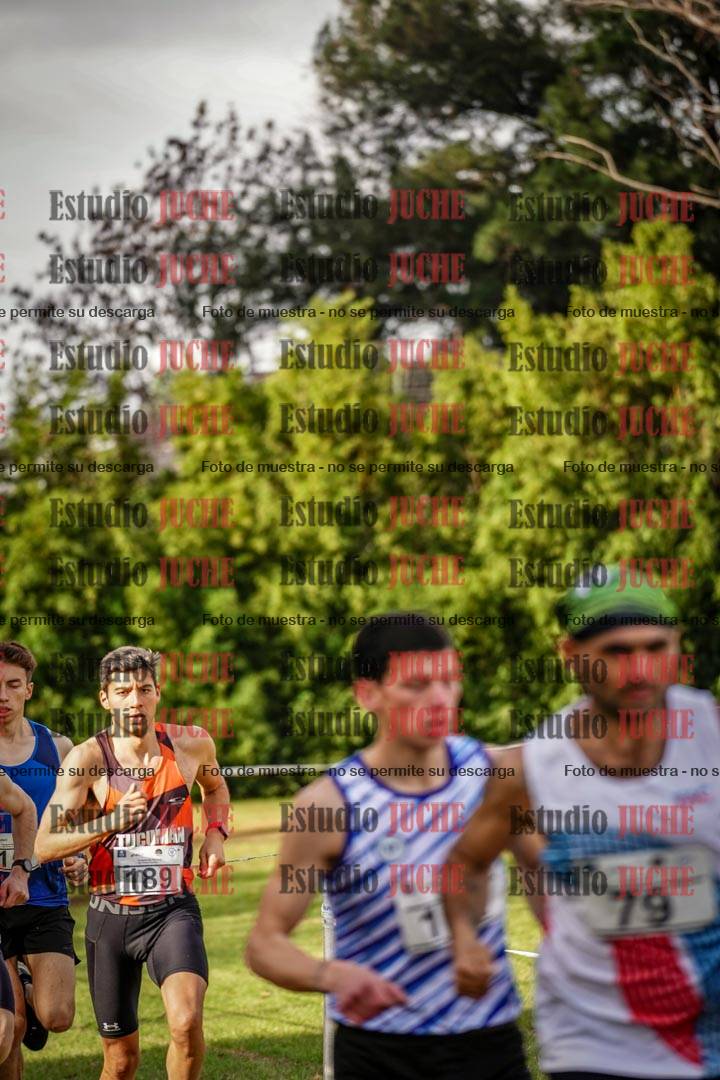 Fotos en el circuito